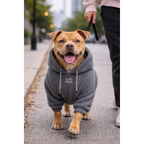 The Cozy - Dog (Dark Ash)